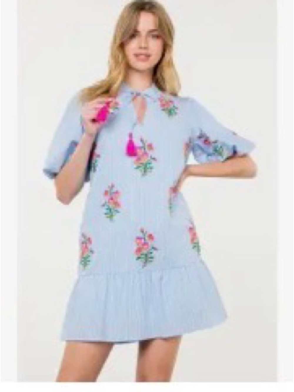 THML Light Blue Striped Mini Dress with Pink Floral Embroidery and Tassels - Picture 5 of 5